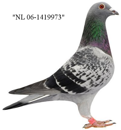 Tir aux pigeons de bureau - 8,50 €