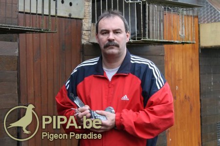 Résultat de recherche d'images pour "PERPETE Francky pigeon"
